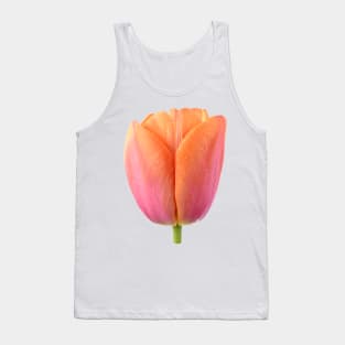 Tulipa  &#39;Orange Dynasty&#39;    Triumph Tulip Tank Top